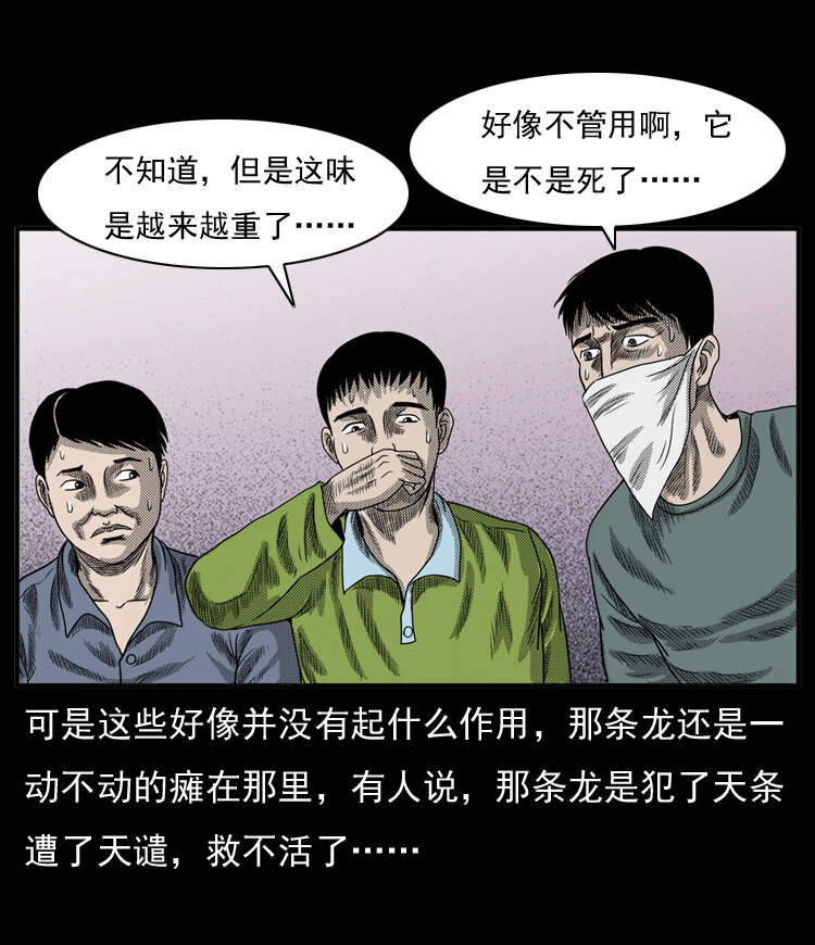 三老爷惊奇手札韩漫全集-20 坠龙无删减无遮挡章节图片 