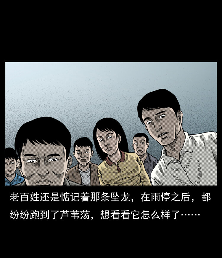 三老爷惊奇手札韩漫全集-20 坠龙无删减无遮挡章节图片 