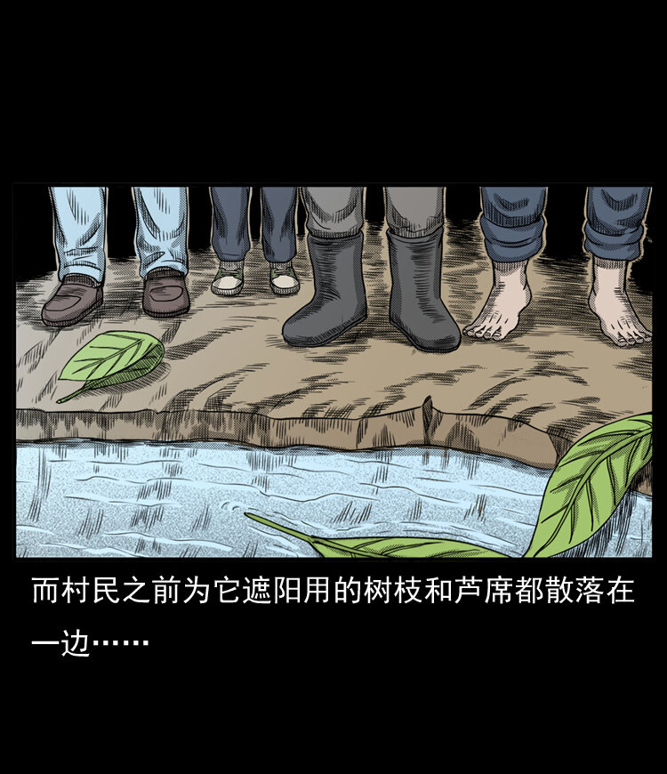 三老爷惊奇手札韩漫全集-20 坠龙无删减无遮挡章节图片 