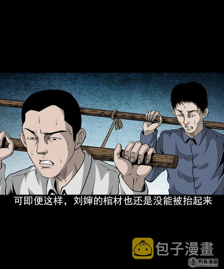 三老爷惊奇手札韩漫全集-196 抬不动的棺材无删减无遮挡章节图片 