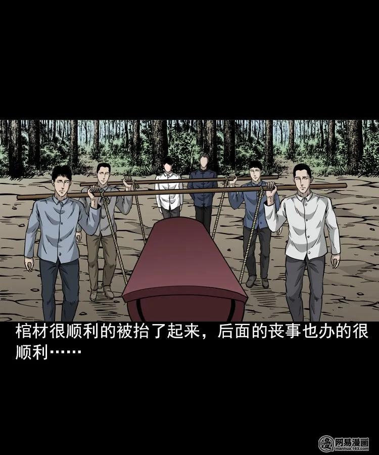 三老爷惊奇手札韩漫全集-196 抬不动的棺材无删减无遮挡章节图片 