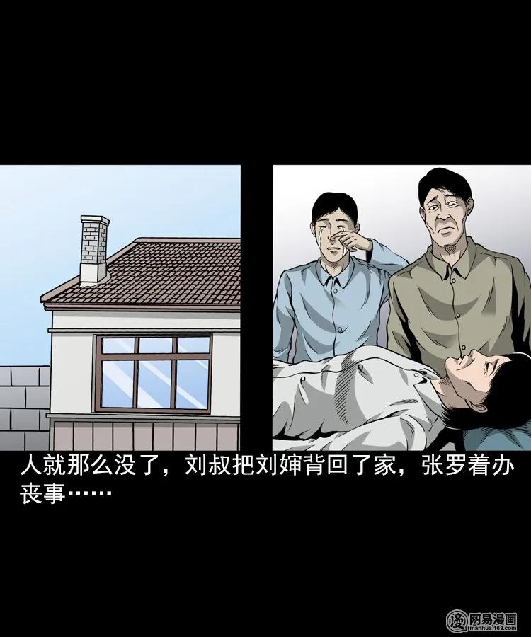三老爷惊奇手札韩漫全集-196 抬不动的棺材无删减无遮挡章节图片 
