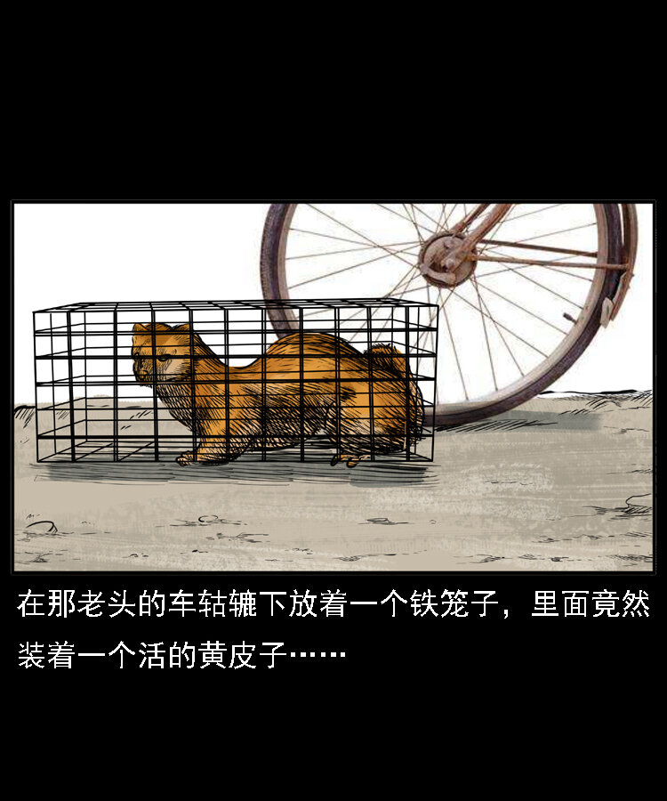 三老爷惊奇手札韩漫全集-22 黄皮子报恩无删减无遮挡章节图片 