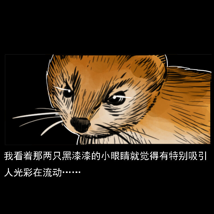 三老爷惊奇手札韩漫全集-22 黄皮子报恩无删减无遮挡章节图片 