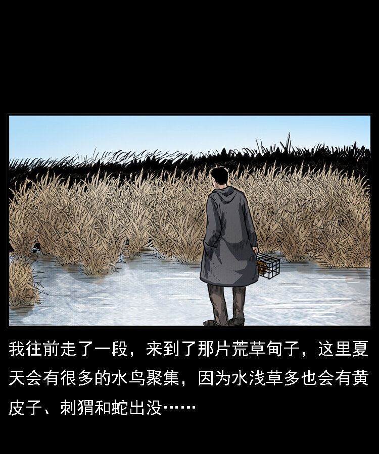 三老爷惊奇手札韩漫全集-22 黄皮子报恩无删减无遮挡章节图片 
