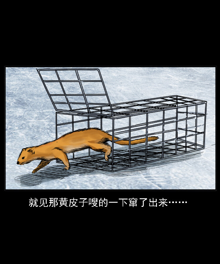 三老爷惊奇手札韩漫全集-22 黄皮子报恩无删减无遮挡章节图片 