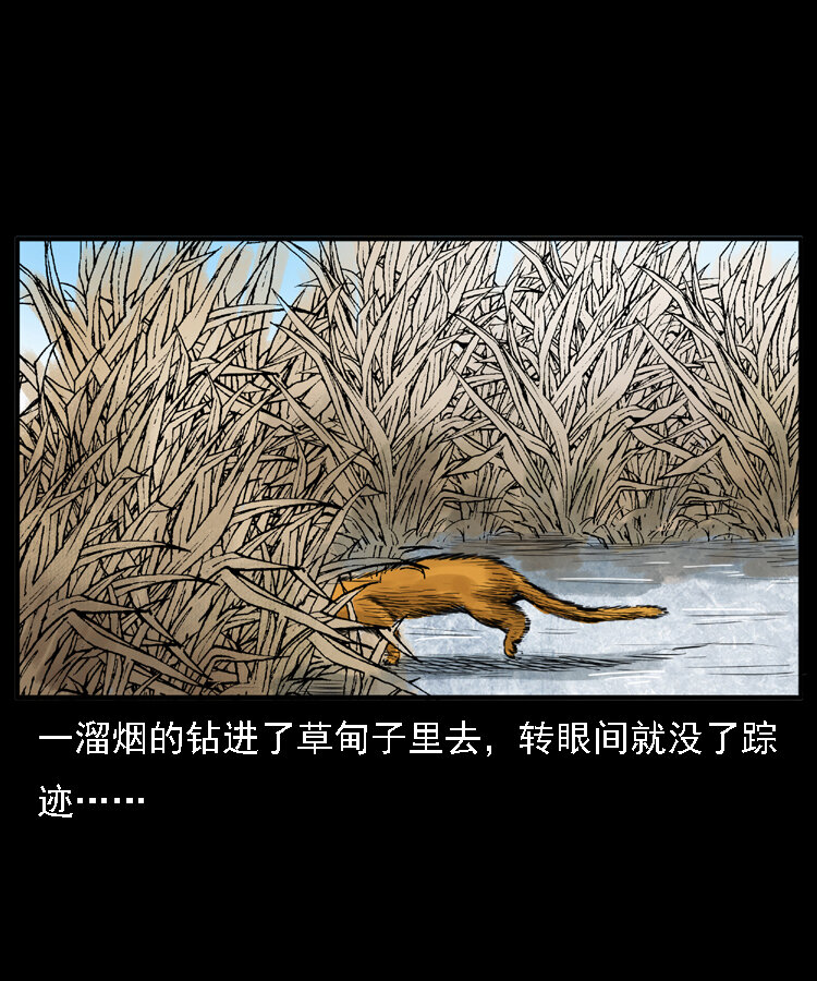 三老爷惊奇手札韩漫全集-22 黄皮子报恩无删减无遮挡章节图片 