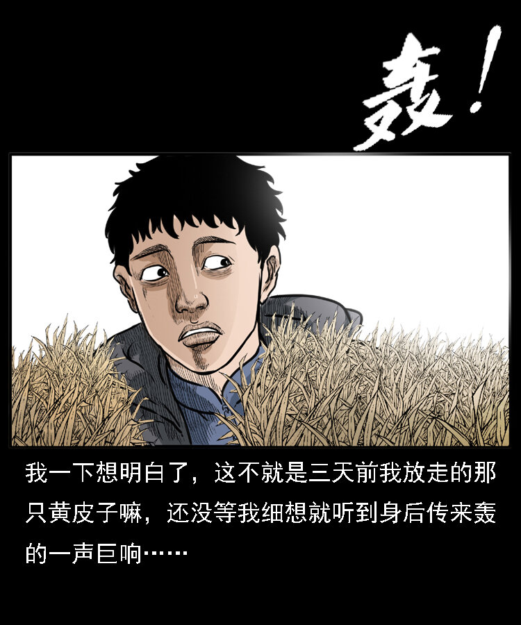 三老爷惊奇手札韩漫全集-22 黄皮子报恩无删减无遮挡章节图片 