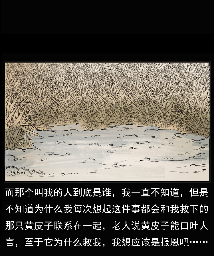 三老爷惊奇手札韩漫全集-22 黄皮子报恩无删减无遮挡章节图片 