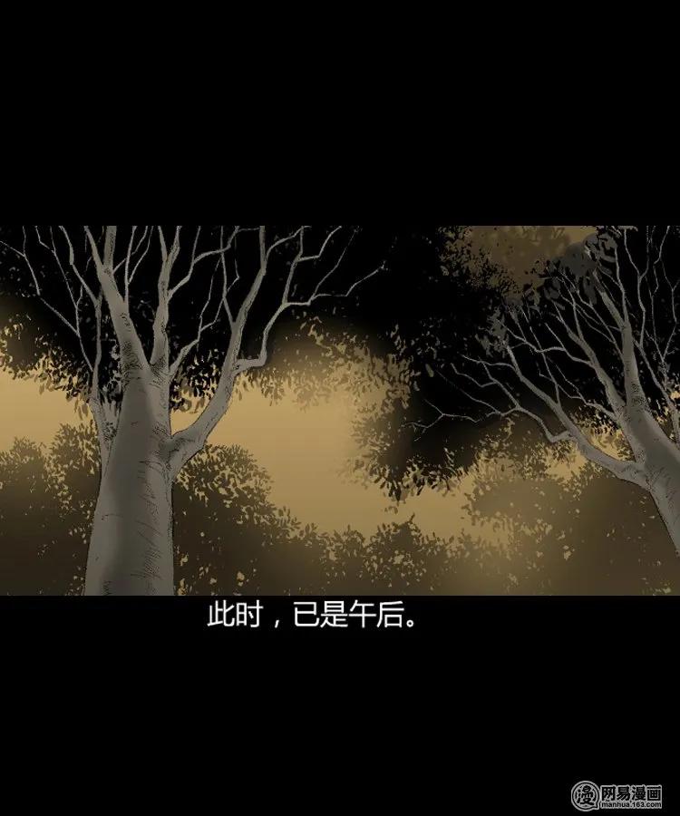 三老爷惊奇手札韩漫全集-209 民国诡事（二）无删减无遮挡章节图片 