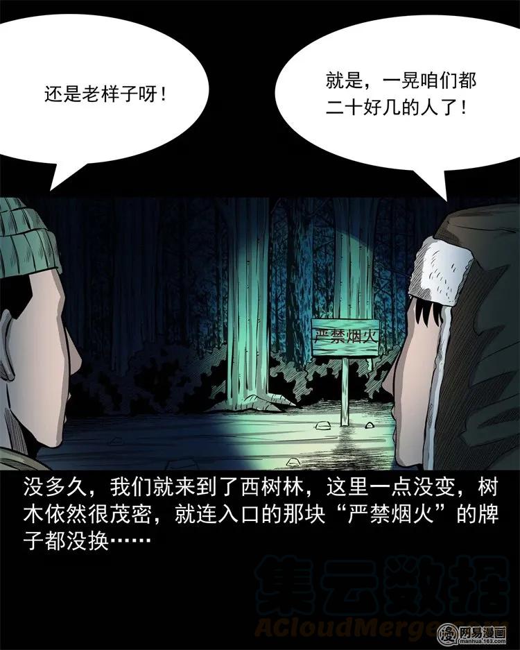 三老爷惊奇手札韩漫全集-228 林中诡事无删减无遮挡章节图片 