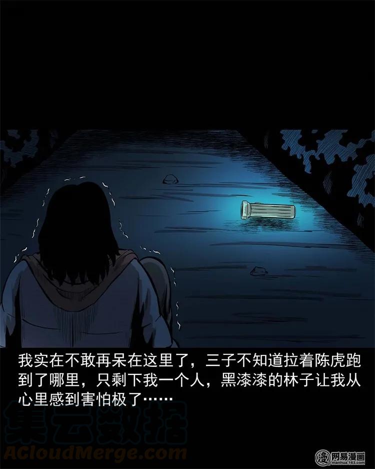 三老爷惊奇手札韩漫全集-228 林中诡事无删减无遮挡章节图片 