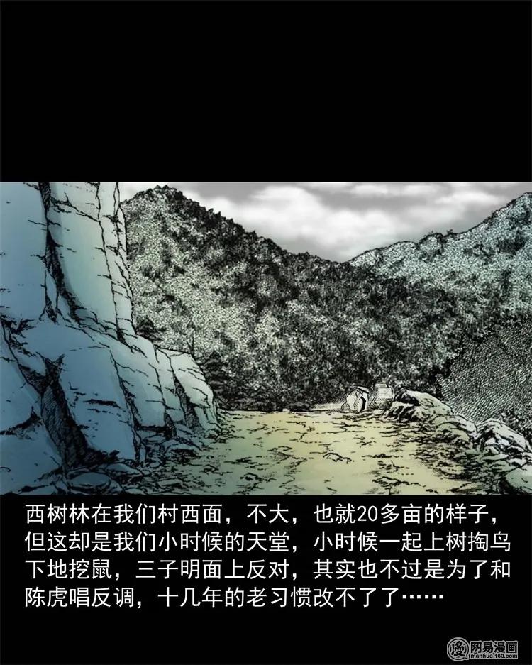 三老爷惊奇手札韩漫全集-228 林中诡事无删减无遮挡章节图片 
