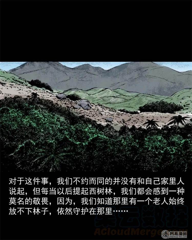 三老爷惊奇手札韩漫全集-228 林中诡事无删减无遮挡章节图片 