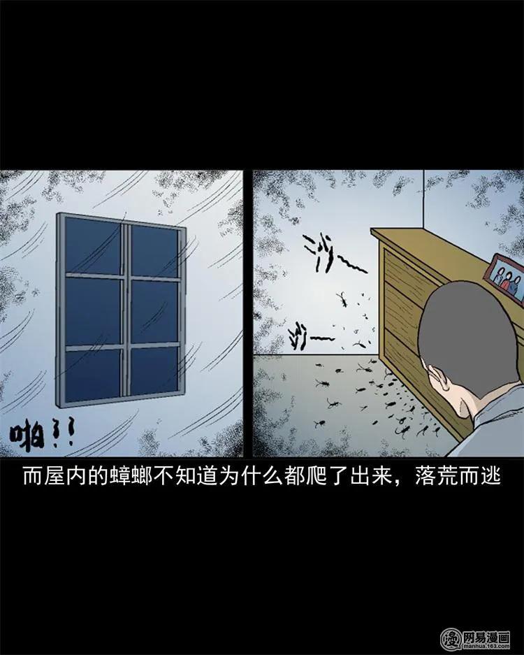 三老爷惊奇手札韩漫全集-246 凶咒1无删减无遮挡章节图片 