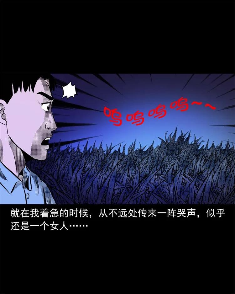 三老爷惊奇手札韩漫全集-262 鬼剃头无删减无遮挡章节图片 