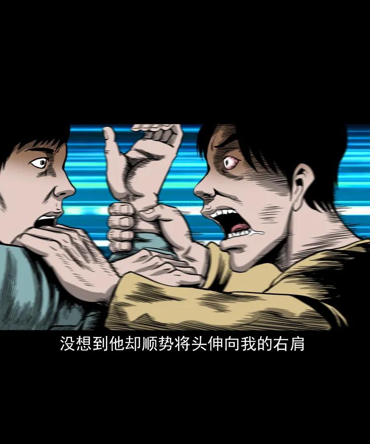 三老爷惊奇手札韩漫全集-263 迷洞无删减无遮挡章节图片 