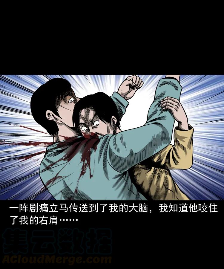 三老爷惊奇手札韩漫全集-263 迷洞无删减无遮挡章节图片 