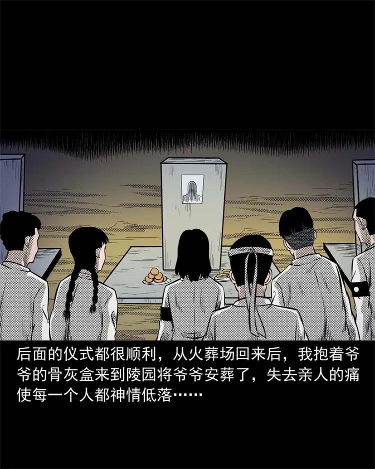 三老爷惊奇手札韩漫全集-269 抱错骨灰盒无删减无遮挡章节图片 
