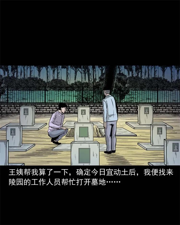 三老爷惊奇手札韩漫全集-269 抱错骨灰盒无删减无遮挡章节图片 