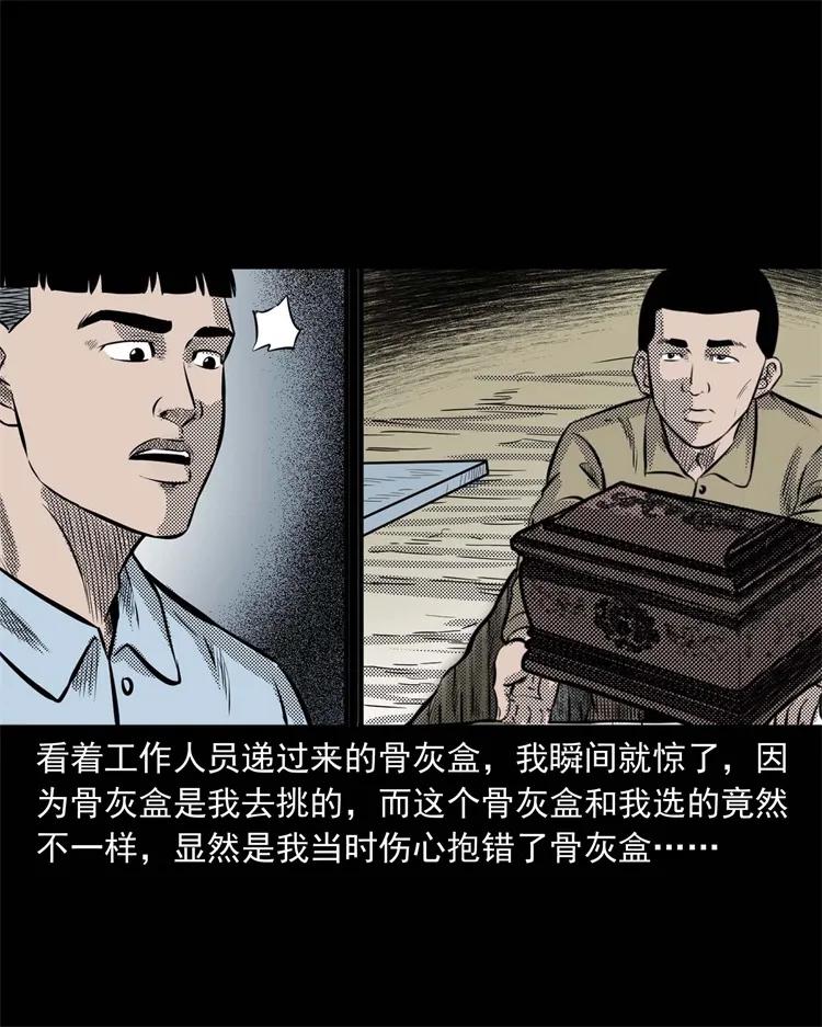 三老爷惊奇手札韩漫全集-269 抱错骨灰盒无删减无遮挡章节图片 