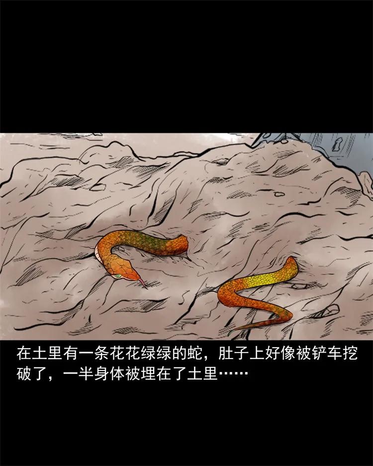 三老爷惊奇手札韩漫全集-270 善报无删减无遮挡章节图片 