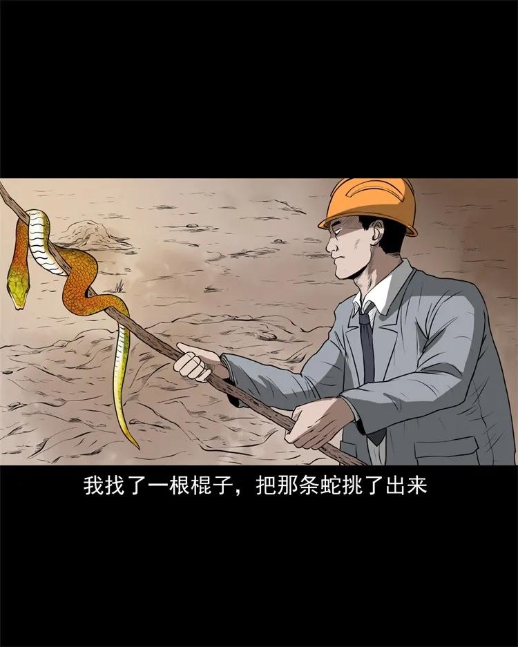 三老爷惊奇手札韩漫全集-270 善报无删减无遮挡章节图片 
