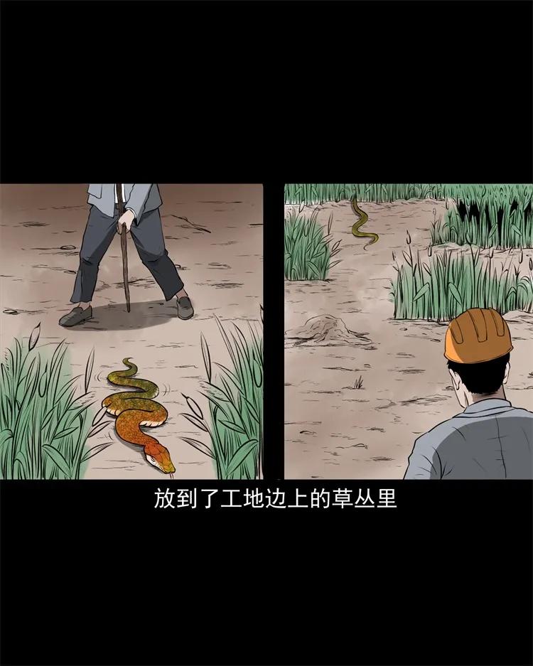 三老爷惊奇手札韩漫全集-270 善报无删减无遮挡章节图片 
