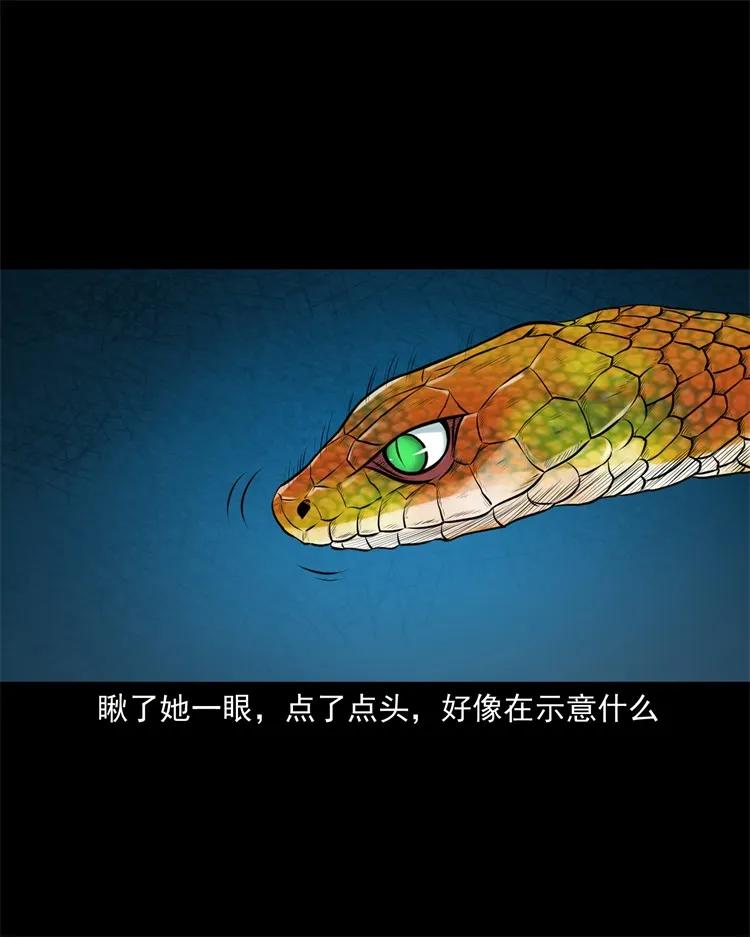 三老爷惊奇手札韩漫全集-270 善报无删减无遮挡章节图片 