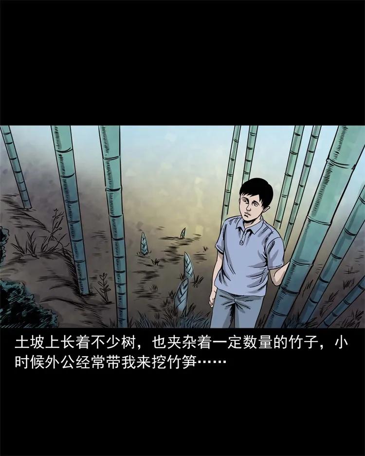 三老爷惊奇手札韩漫全集-271 童年玩伴无删减无遮挡章节图片 