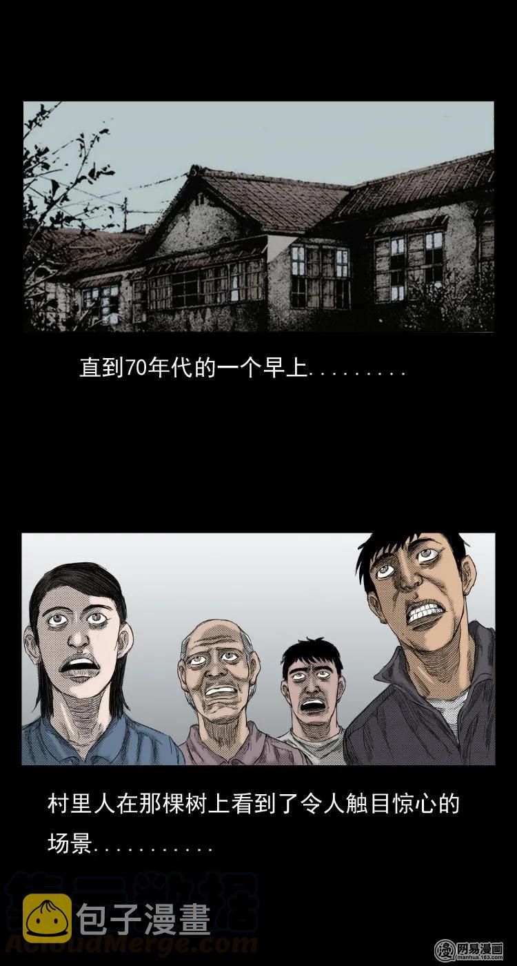三老爷惊奇手札韩漫全集-29 古树无删减无遮挡章节图片 