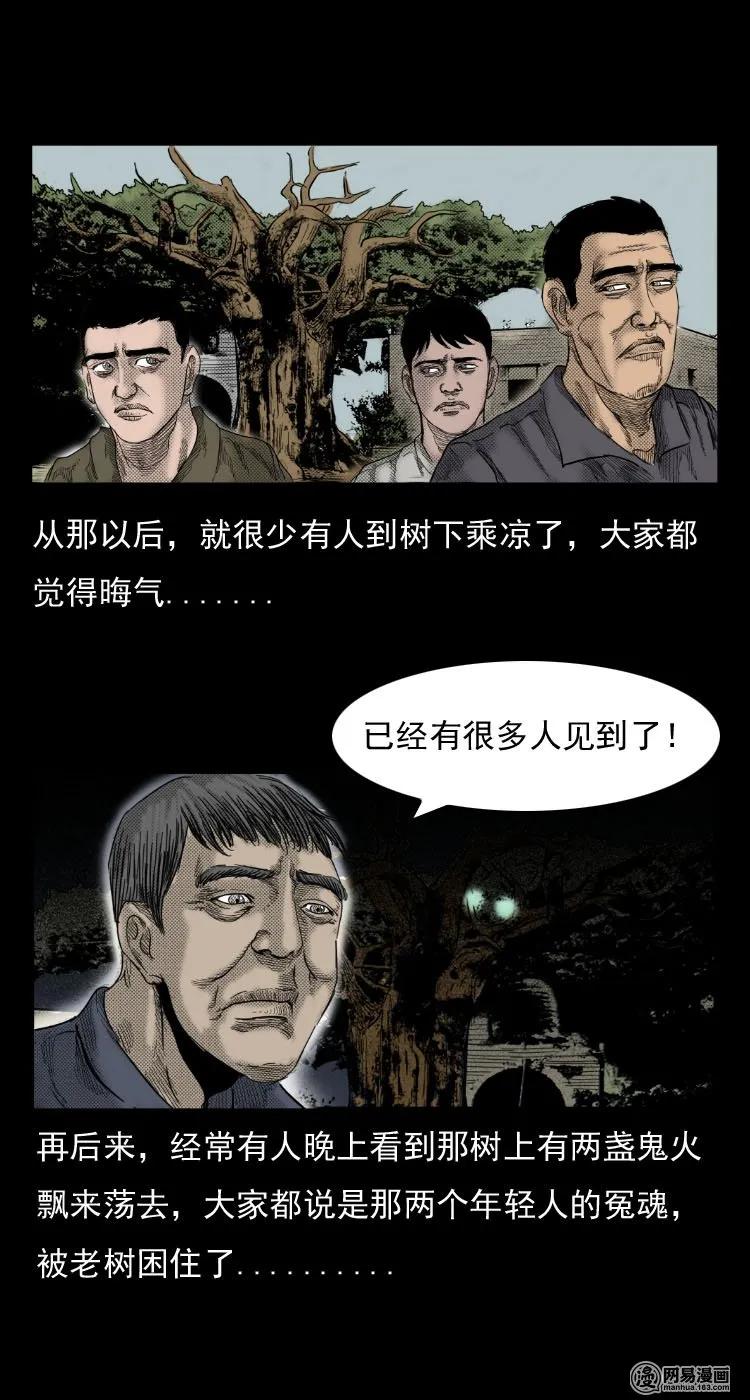 三老爷惊奇手札韩漫全集-29 古树无删减无遮挡章节图片 