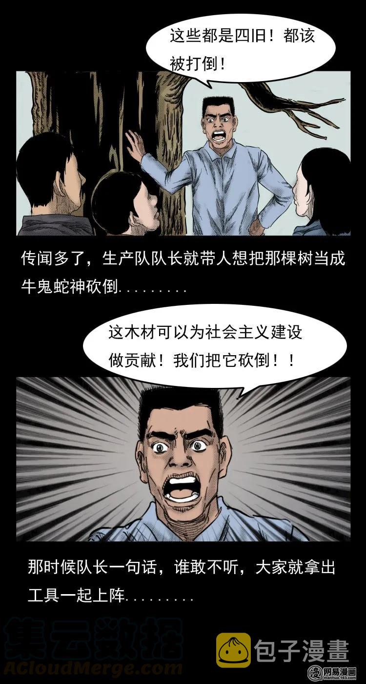 三老爷惊奇手札韩漫全集-29 古树无删减无遮挡章节图片 