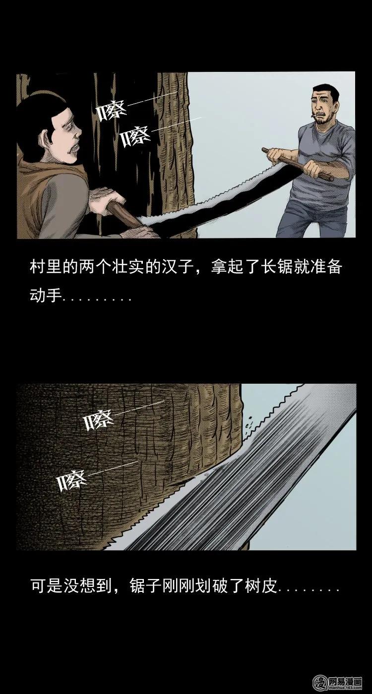 三老爷惊奇手札韩漫全集-29 古树无删减无遮挡章节图片 