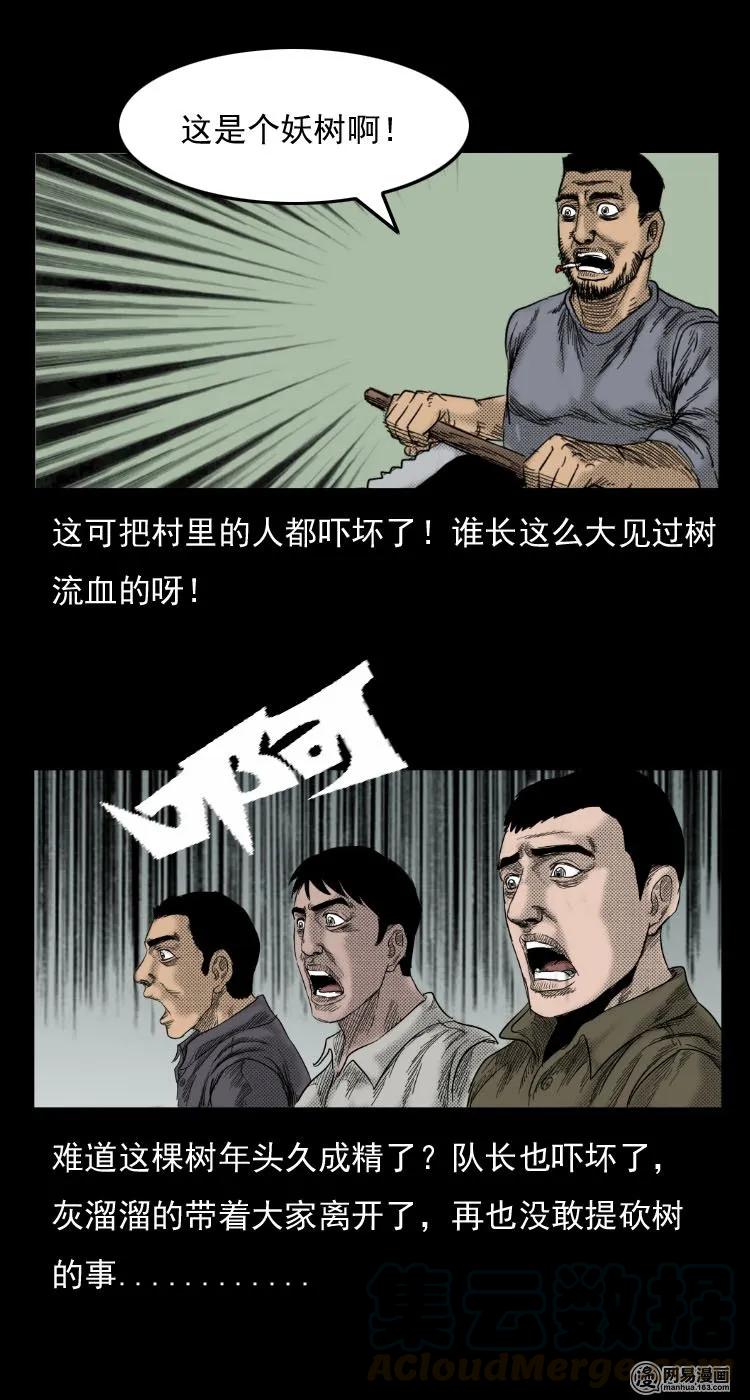 三老爷惊奇手札韩漫全集-29 古树无删减无遮挡章节图片 