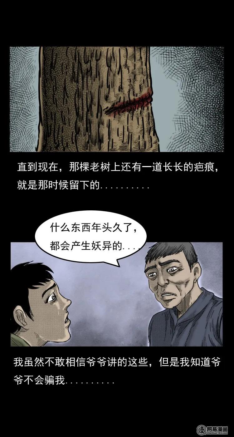 三老爷惊奇手札韩漫全集-29 古树无删减无遮挡章节图片 