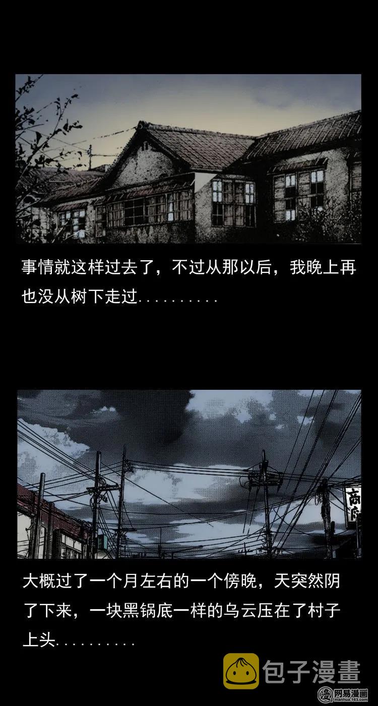 三老爷惊奇手札韩漫全集-29 古树无删减无遮挡章节图片 