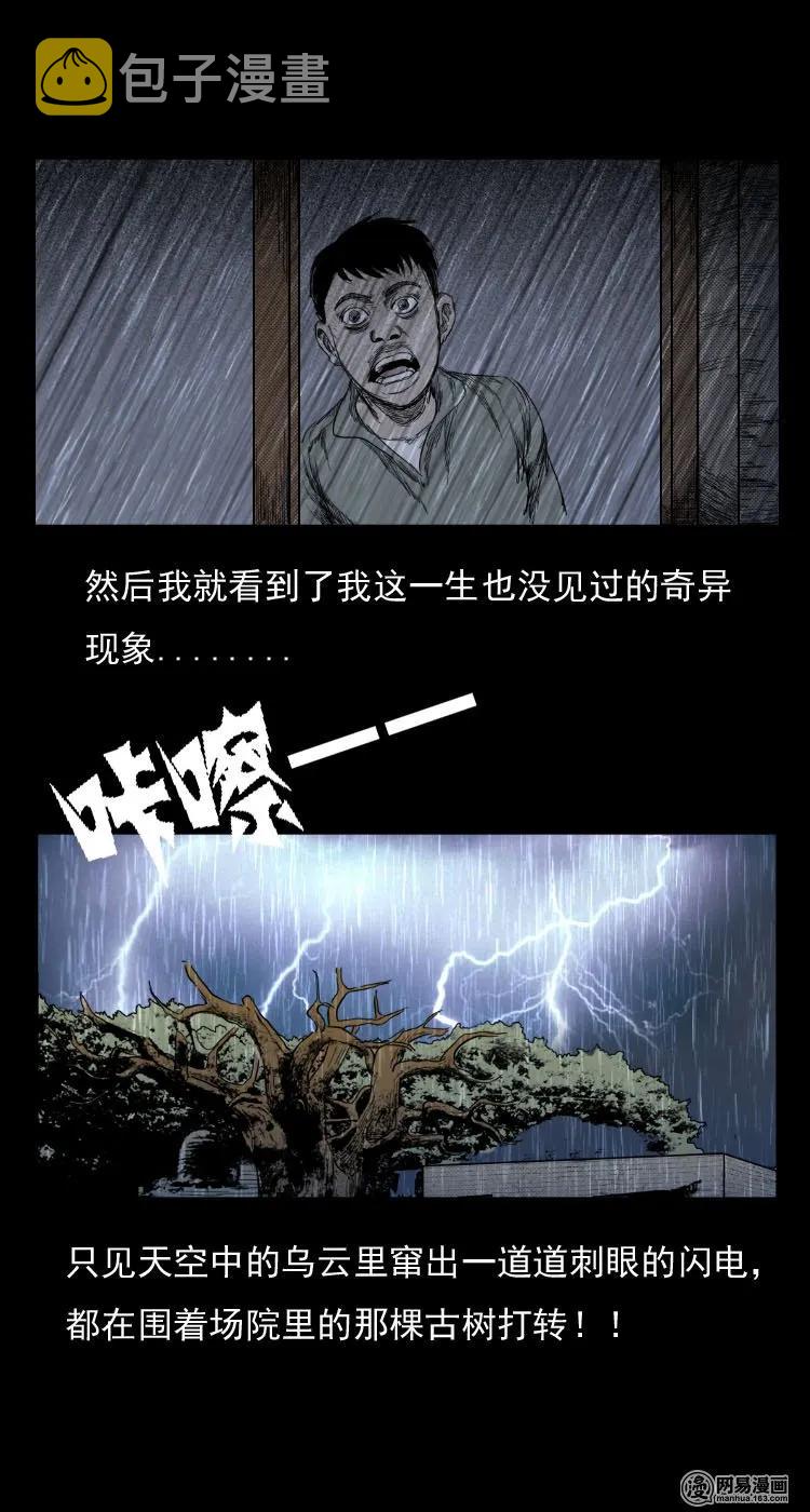 三老爷惊奇手札韩漫全集-29 古树无删减无遮挡章节图片 