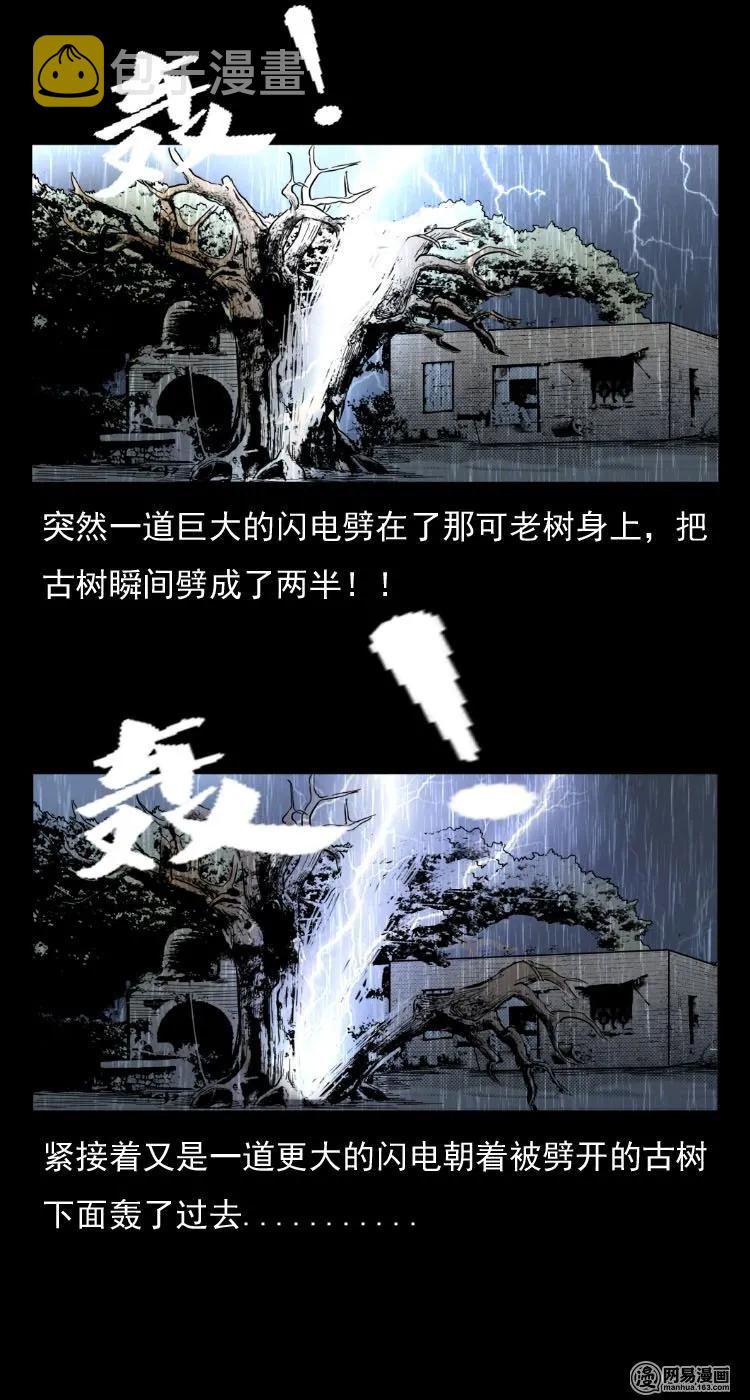 三老爷惊奇手札韩漫全集-29 古树无删减无遮挡章节图片 