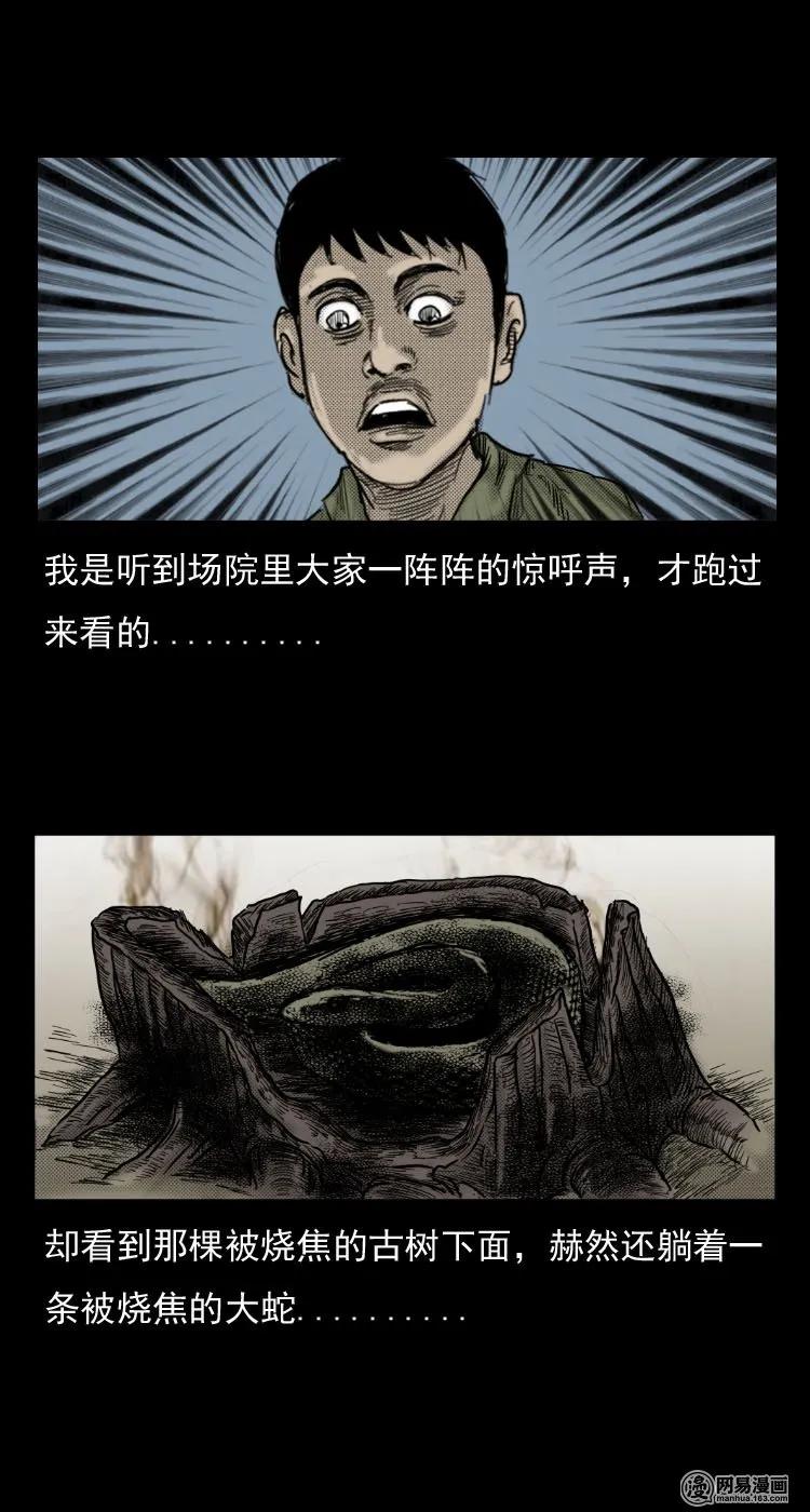 三老爷惊奇手札韩漫全集-29 古树无删减无遮挡章节图片 