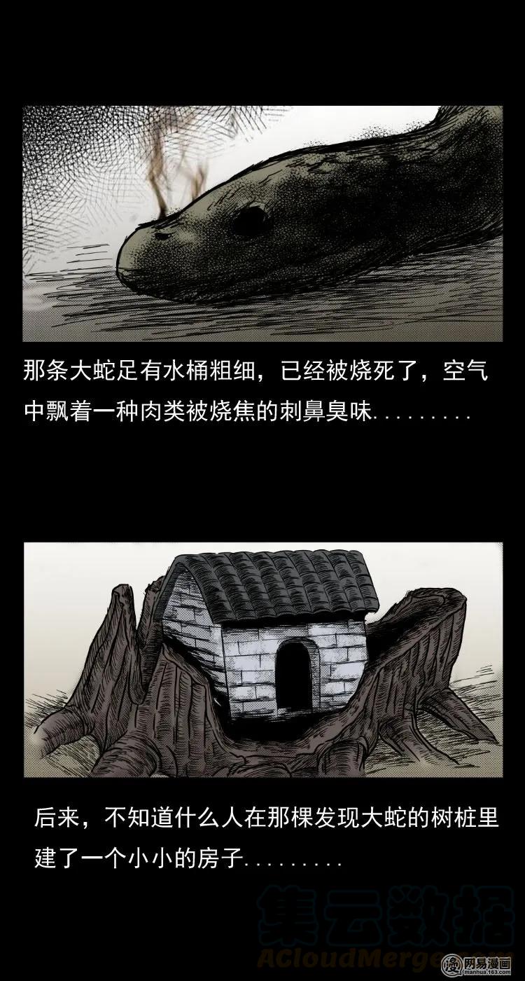 三老爷惊奇手札韩漫全集-29 古树无删减无遮挡章节图片 