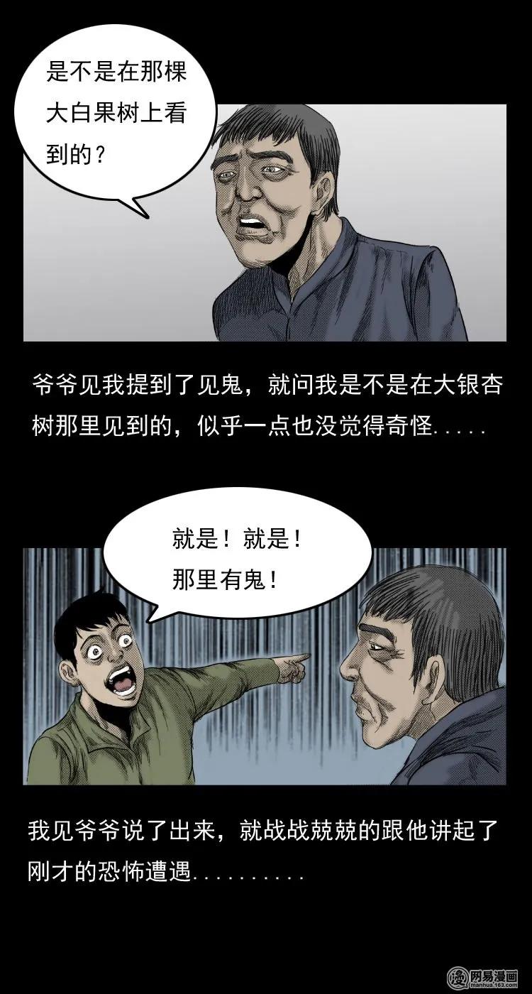 三老爷惊奇手札韩漫全集-29 古树无删减无遮挡章节图片 