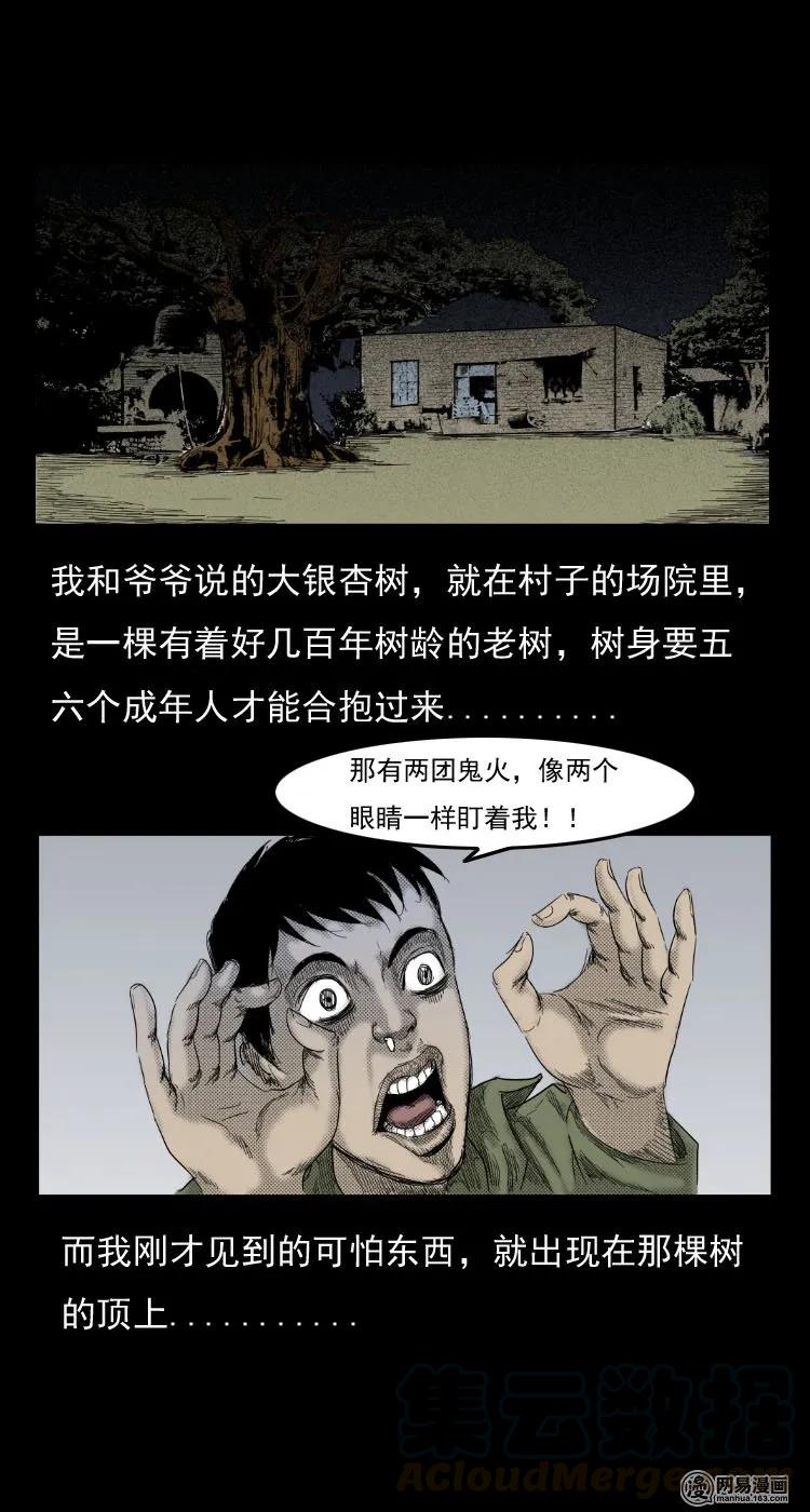 三老爷惊奇手札韩漫全集-29 古树无删减无遮挡章节图片 