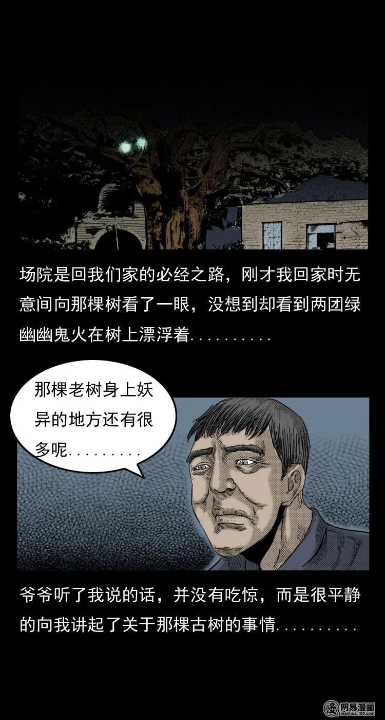 三老爷惊奇手札韩漫全集-29 古树无删减无遮挡章节图片 