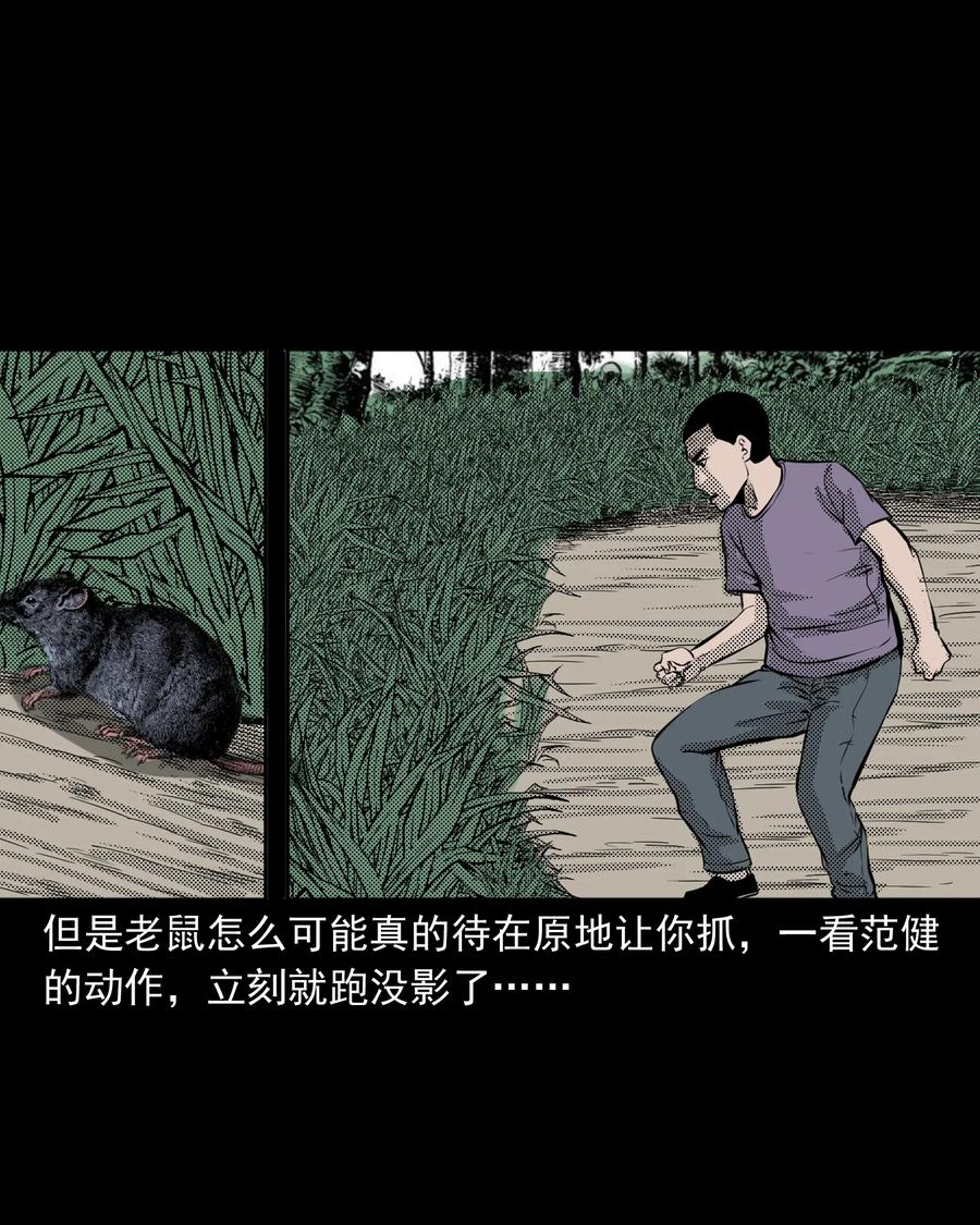 三老爷惊奇手札韩漫全集-282 老鼠成仙无删减无遮挡章节图片 