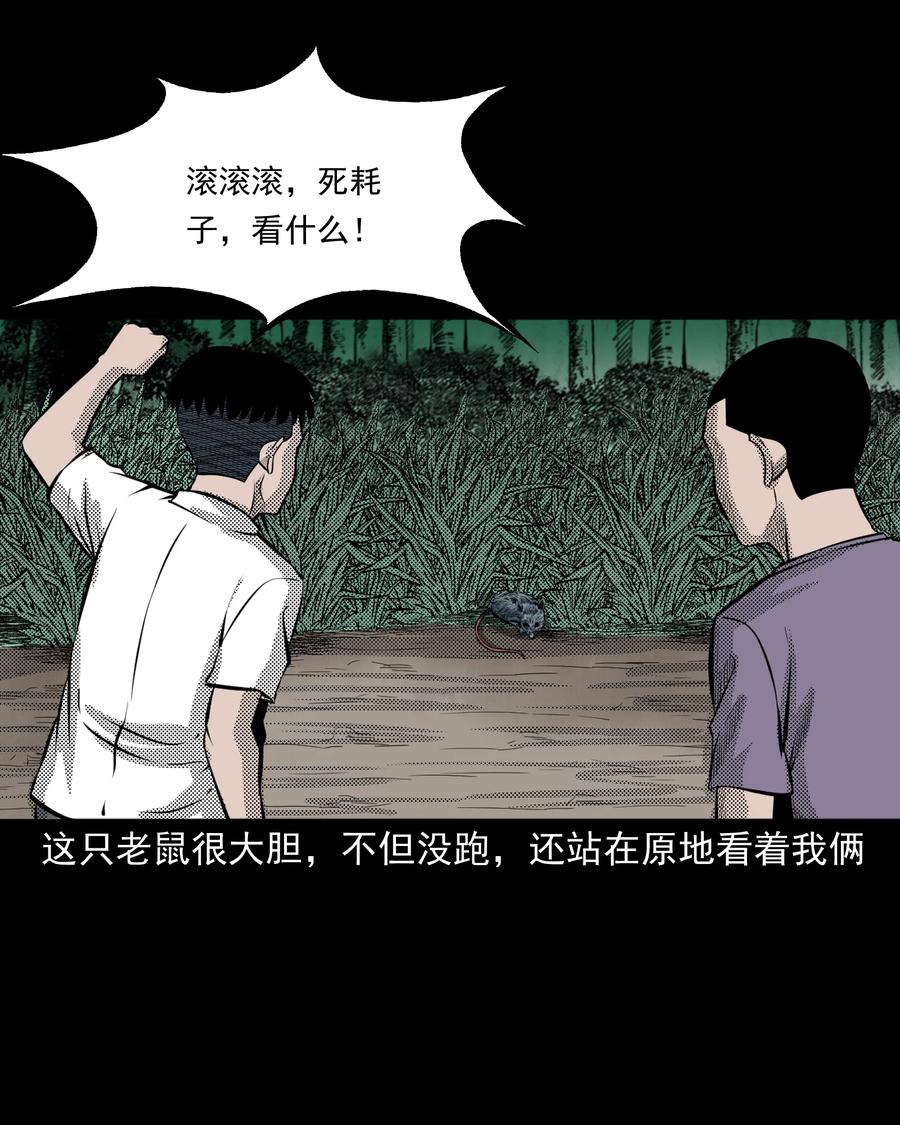 三老爷惊奇手札韩漫全集-282 老鼠成仙无删减无遮挡章节图片 