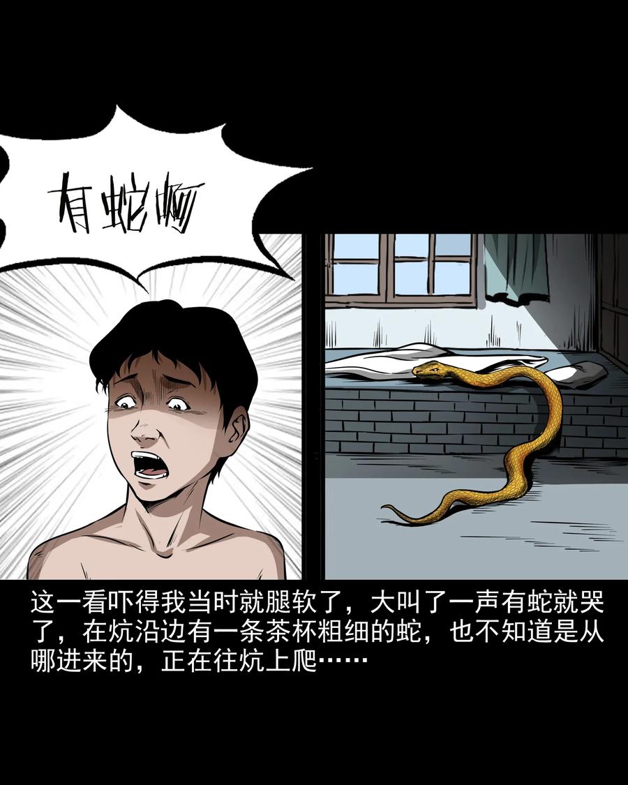 三老爷惊奇手札韩漫全集-291 蛇祸无删减无遮挡章节图片 