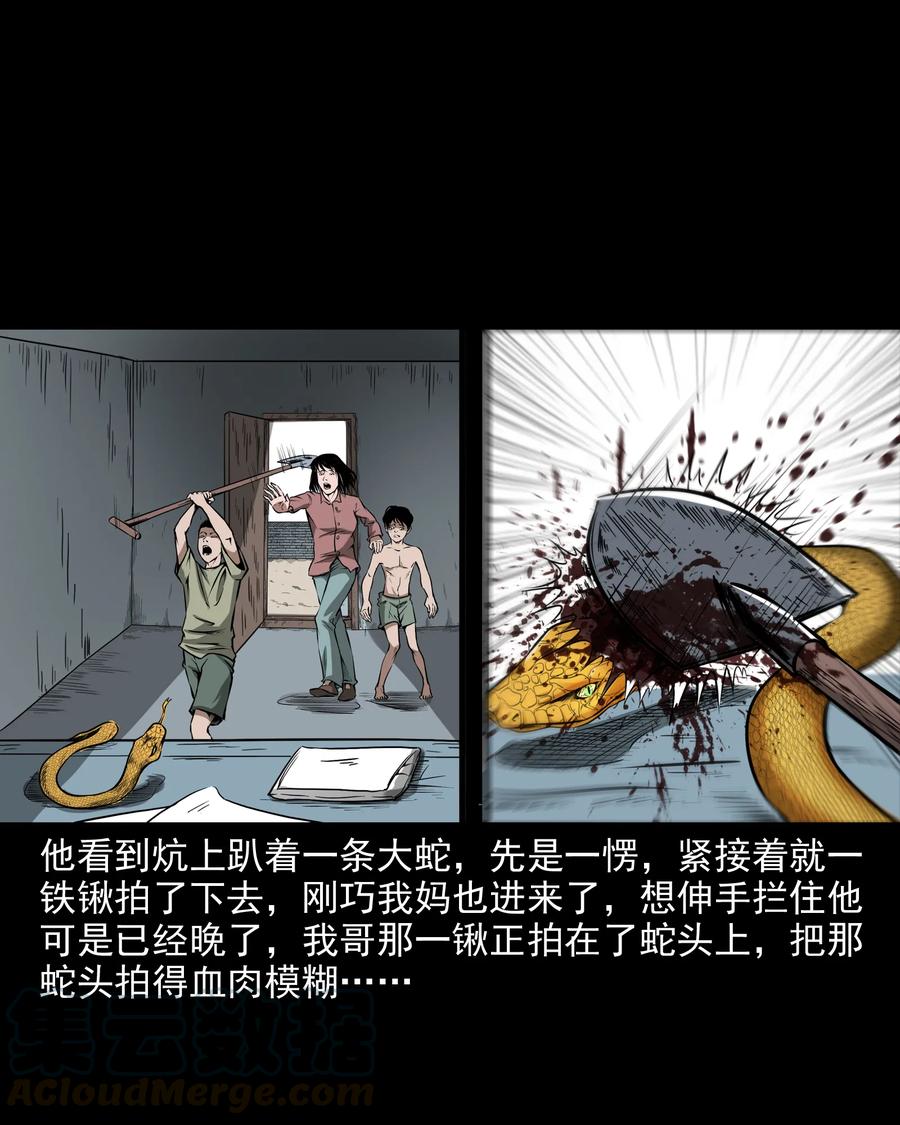 三老爷惊奇手札韩漫全集-291 蛇祸无删减无遮挡章节图片 