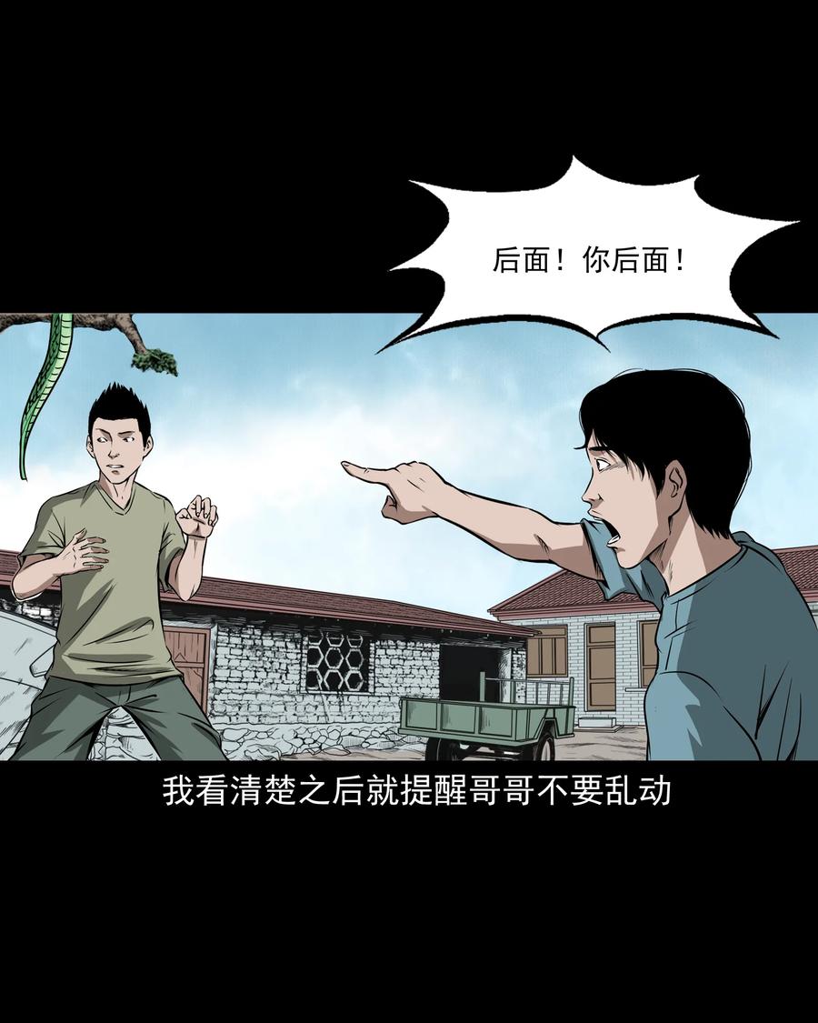 三老爷惊奇手札韩漫全集-291 蛇祸无删减无遮挡章节图片 