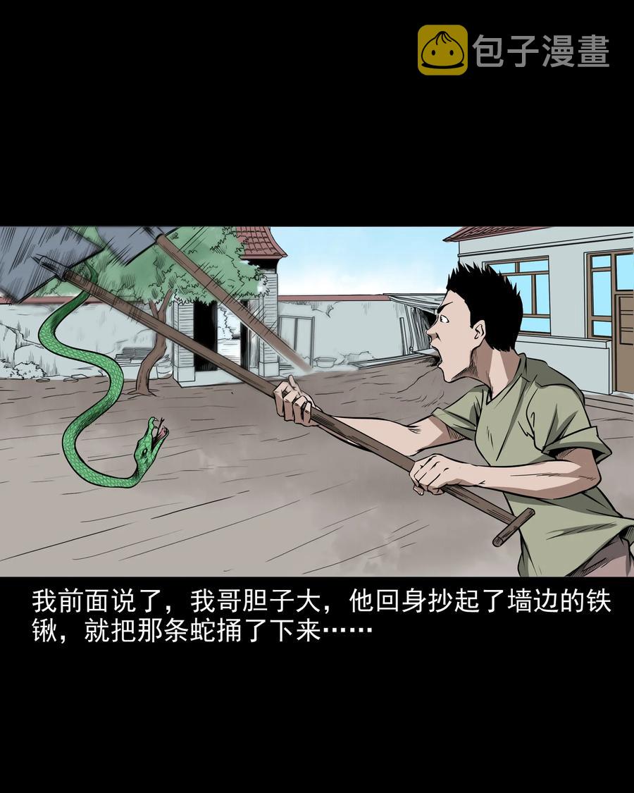三老爷惊奇手札韩漫全集-291 蛇祸无删减无遮挡章节图片 